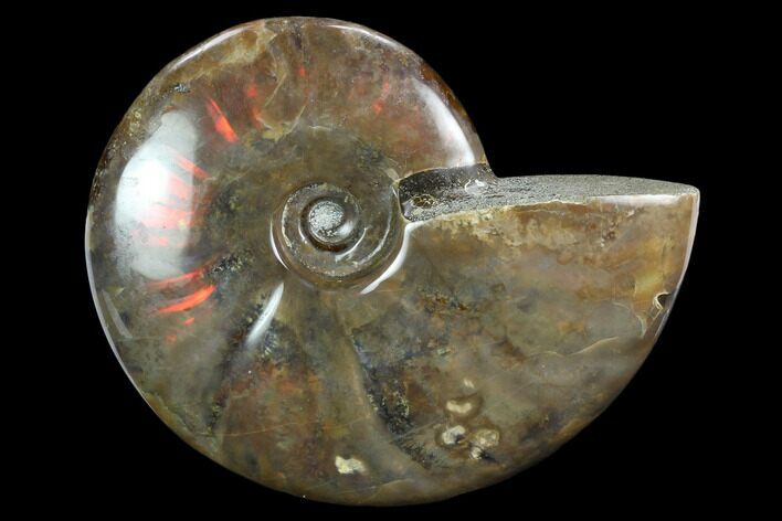 Flashy Red Iridescent Ammonite - Wide #127920